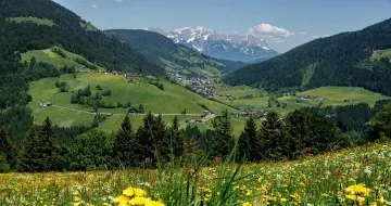 Bergsommer Bergsommer